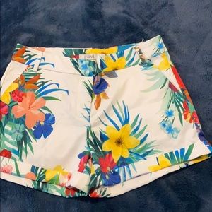 Beautiful multi color shorts